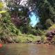 Recanto beira rio - Sao Pedro da serra., Nova Friburgo - Foto 10