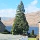 Burnside Cottage Fort William - Fotografie 9