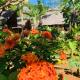 Tamarin Lodge, Ampangorinana (foto 7)
