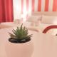 Palermo Central B&B, Palermo - Zdjęcie 3