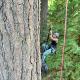 Tree Climbing at Silver Falls, Sublimity - Photo 4