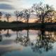 Aim Ranch, Groesbeck (photo 7)