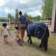 BB Polle - with the horse view Mikkeli - Photo 7