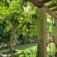 Located In The Heart Of The West Side, Los Angeles - Foto 2