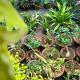 Gloria Homestay ,Thrissur, Trissur - Fotografie 7