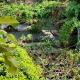 Gloria Homestay ,Thrissur, Trissur - Fotografie 10