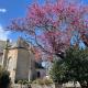 Gîte Ke'R Maé, Le Quiou (foto 6)