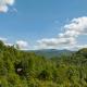 Black Bear Falls Blue Ridge - Fotografie 1