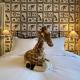 27 Brighton Guesthouse, Brighton et Hove (photo 10)