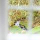 Westerpark Cottage, Pet & Family Friendly Countryside Retreat, Aberdeenshire, Huntly (fotografie 3)