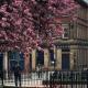 Studio in Bolton town, Short stay studio 5,, Bolton (foto 9)