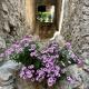 Studios Al Castello dei Limoni, Limone sul Garda (fotografie 6)