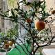 Studios Al Castello dei Limoni, Limone sul Garda (fotografie 7)