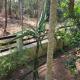 Ashiaana Homestay, Trissur - Fotografie 3