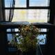 Brand New Apartment, Top Location-Near VIC/Danube, Wien - Foto 5