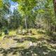 Cozy cottage in the woods, Surry (fotografie 3)