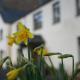 Padarn Apartment at Glanybala Holidays, Llanberis (zdjęcie 4)