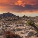 Park Place - Closest Cabin To Joshua Tree Park, Joshua Tree - Fotografie 2