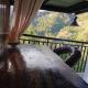 The King's Cabin - Baguio