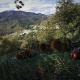Tiny House pour marcheur, Prunet (fotografie 2)