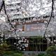 Suikoyen Hotel - Vacation STAY 46460v, Kurume (fotografie 7)