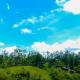 Nine Arch Homestay, Ella (foto 7)