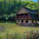 Unique House on the Lake, Pădurea Neagră - Foto 1