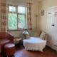 Quirky Cottage with Private Garden Nr New Quay Cardigan Bay Llandysul - Zdjęcie 5