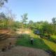 Ibankordor Jungle Resort, Cherrapunji - Foto 4