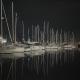 Waterlife, Lisbon - Photo 4