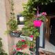 Town house with garden - 1 room with shared bathroom, Brusel - Fotografie 5