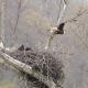 Riverfront Property in NRG National Park near Sandstone Falls- Wi-Fi, Pet-Friendly, Hinton (zdjęcie 3)