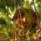 Polwaththa Eco Lodges, Digana