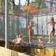 Camping Kévano Plage, Pianottoli-Caldarello (Foto 3)