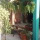 Casa Ubatuba, Ubatuba - Photo 5