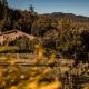 La Paradella - Apartamento de uso turístico, Arbúcies (fotografie 4)