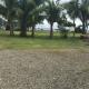 M's Dreams, Quepos (Foto 7)