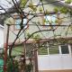 Vila la 4 Turturici, Năvodari - Foto 7