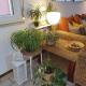 Bettina's wonderful flat, Riccione (foto 8)