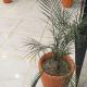 Hotel Prime Residency By BookingCare, Ballia - Zdjęcie 8