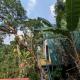 Coorgology - The estate stay, Madikeri - Foto 2