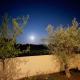 Zaton-Nin Holidays - Olive Apartment, Zaton - Fotografie 4