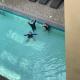 Stanford Suites 3, staycation near Nuvali, located in Silang, Bayabasan (foto 9)