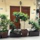 Casa Vacanze Madison Square, Palermo - Zdjęcie 3