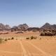 desert Hawk Wadi Rum - Zdjęcie 2