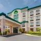 Holiday Inn - Tampa North by IHG - Fotografie 6