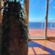 Apartment in Murter with sea view, terrace, air conditioning, Wifi 5026-3 - Foto 8