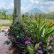 La Casa de Detours Costa Rica, Fortuna - Fotografie 2