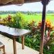 villa with rice field views in ubud - Photo 2