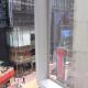 Hoi To Hostel, Hongkong (fotografie 10)